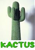 L'avatar di kactus